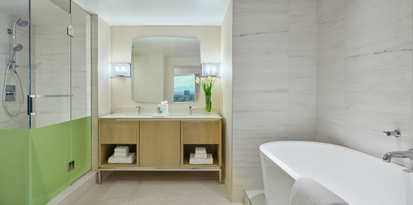 One Bedroom Suite bathroom