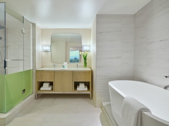 One Bedroom Suite bathroom