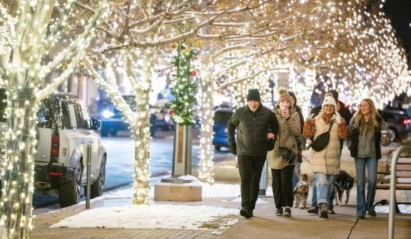 group of people walking down the sidewalk with trees lit up for christmas time