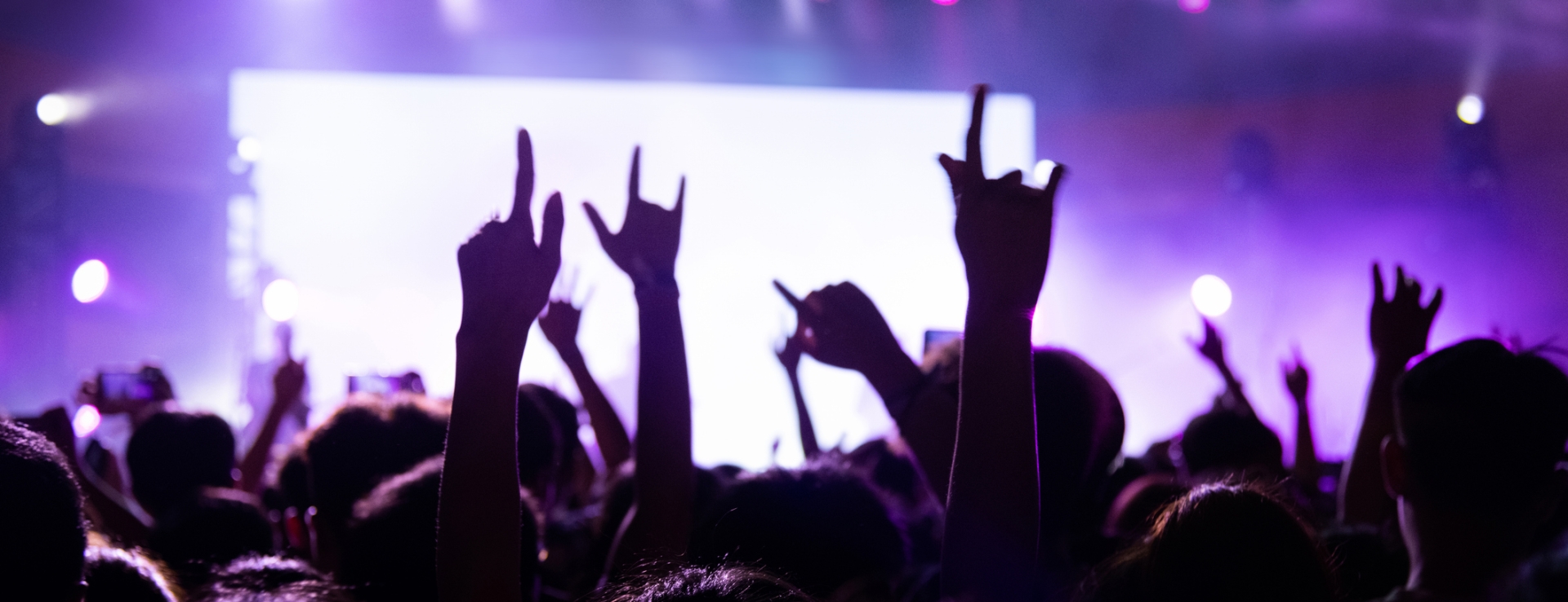 Crowd of people at a concert